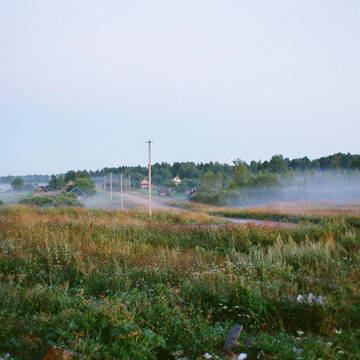 fog