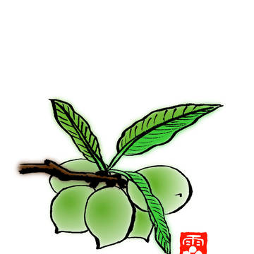 実生