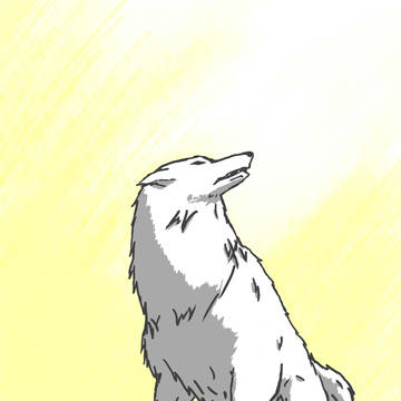日の光が降り注ぐ