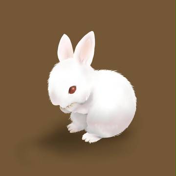 うさぎ