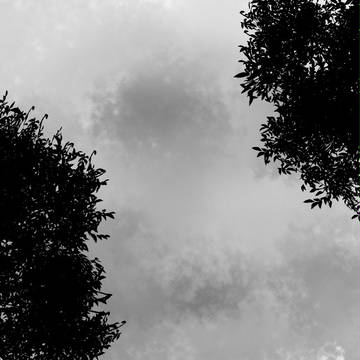 今日の天気