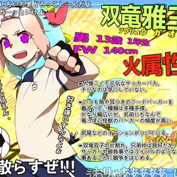 【pix11】 双竜 雅王 【キャラシート】