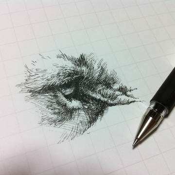 らいおんのかきかた