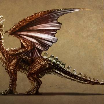 RedBoneDragon
