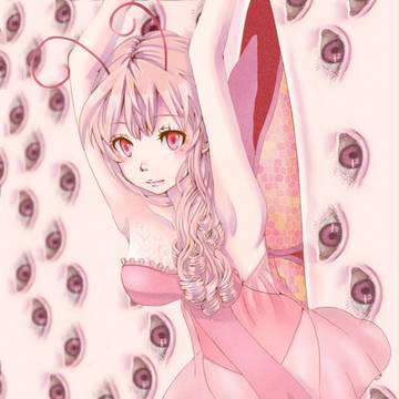 蝶々