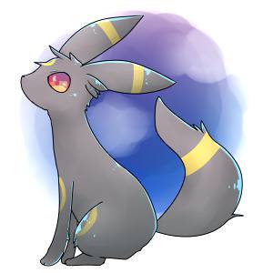 夜に進化します