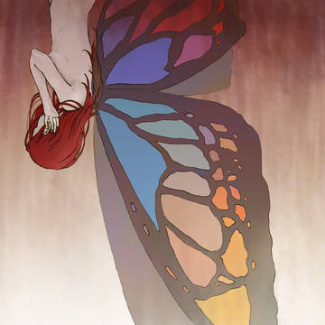 Butterfly Wings