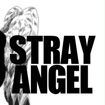 STRAY ANGEL