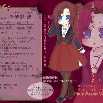 【PAV】宇留野昴【キャラシ】