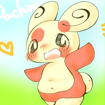ポケモンXYのぱっちーるは太ってる!!!
