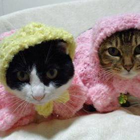 猫のお洋服