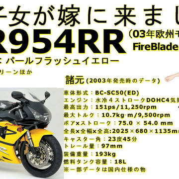 【祝大型二輪ご成約】どうしてこうなった！？【CBR954RR】
