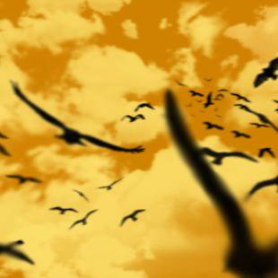 Migrating Home