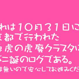 兎虎虎廃クラスタによるバニ誕オフのログ~in 京都~