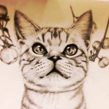 猫絵