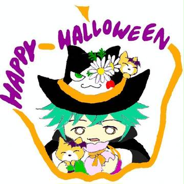 ﾊﾛ菊