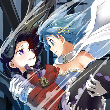 「あなた…本当に美樹さやかなの？」