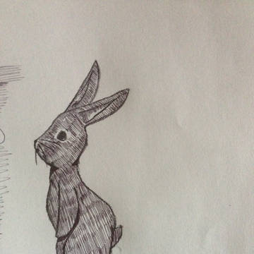 うさぎさん