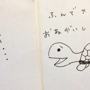 Mなカメさん