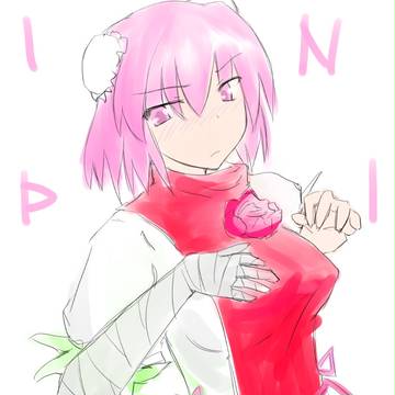 ダンサーインザピンクのネーム