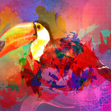 feeling like a toucan