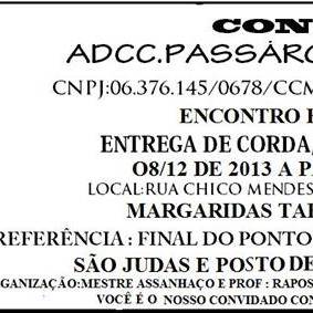 TROCA CORDA PASSARO LIBERDADE