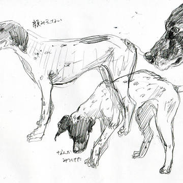 犬です