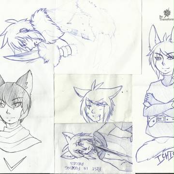 Doodles