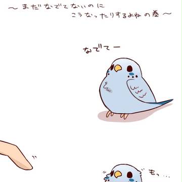 インコあるある