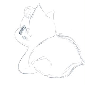 小狐狸---little fox