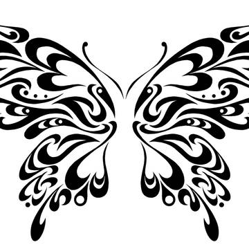 butterfly02