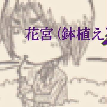 花宮(鉢植え)　2