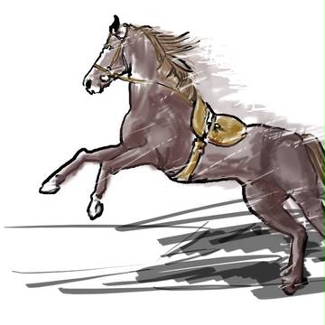 2014 馬