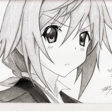 やっぱりこういう方向性なのかな...