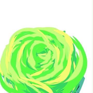 圆白菜