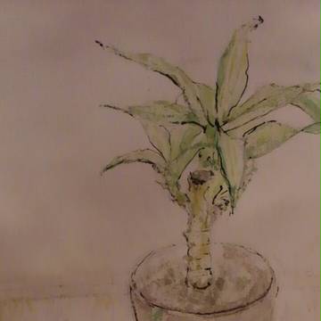 植物たち