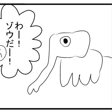 ゾウ
