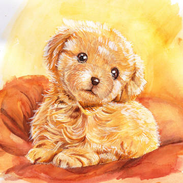 子犬