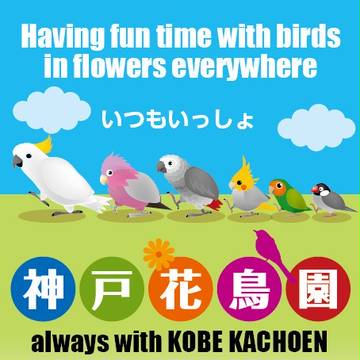 応援!神戸花鳥園