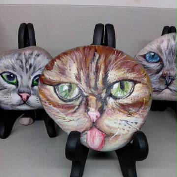 第五只猫