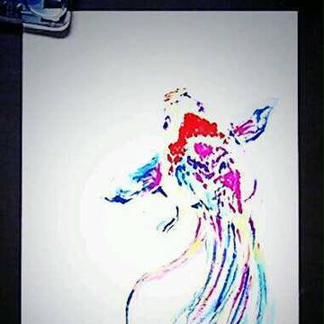 金魚