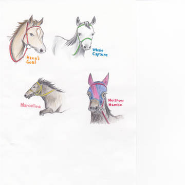 馬、その他動物、オリキャラ的なもの