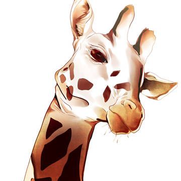 animal