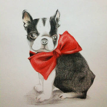 Doggy