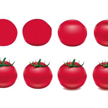 Tomato