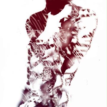 body(torso)