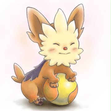 うちのヨーテリー