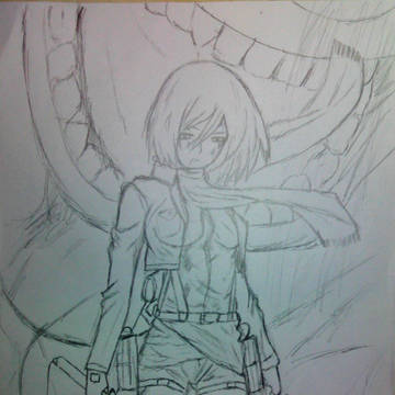 mikasa