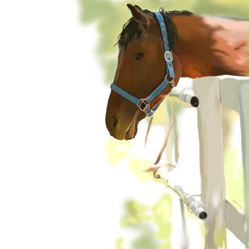 ジャンじゃないよ馬ｼﾞｬﾝ↑