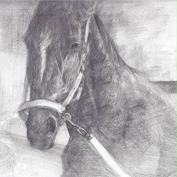 ウオッカ　模写